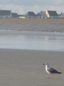 Bretagne 043