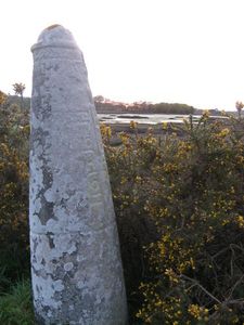 Entre-Locoal-et-Mendon-