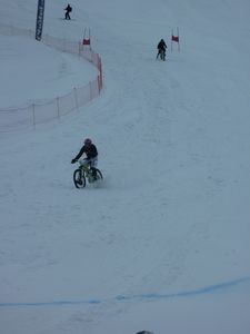 P1000340.jpg