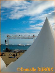 Festival Cannes 2012 04-2