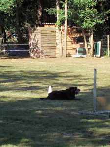 Aramis (2)