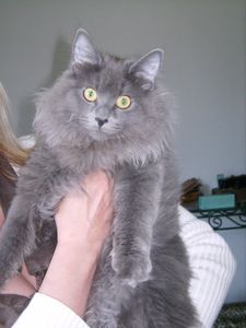 FANNY-6.jpg