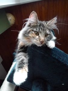 FREYA-1.JPG