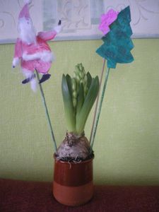 IMGP0014.jpg