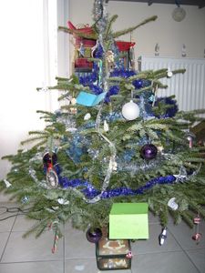 En attendant Noël... 002