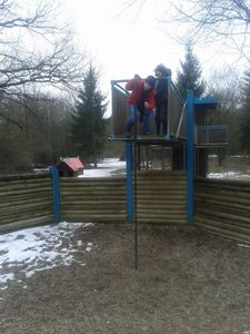 Foret-de-Haye.jpg