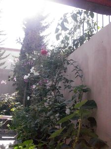 maroc-decembre-2011-383.JPG