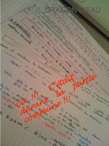 Diapositive1-copie-3.jpg