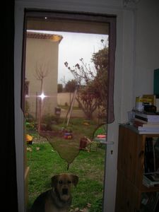 DSCN7615.JPG