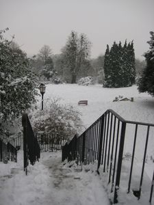 snowy-park.jpg