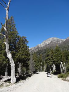 Distrito de los lagos (17)