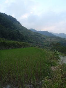 Banawe (7)
