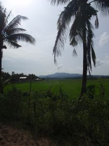 Palawan (17)