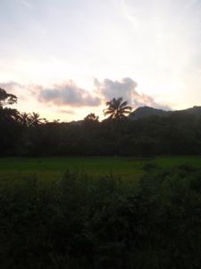 Palawan (32)