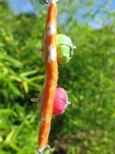 juin-2012-7612.jpg