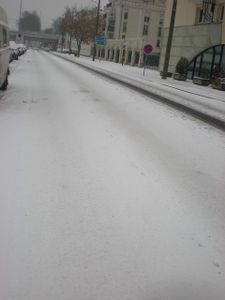 DSCN4711