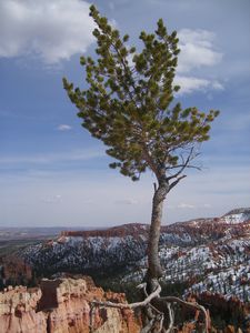 195Bryce-Canyon-National-Park--37-.JPG