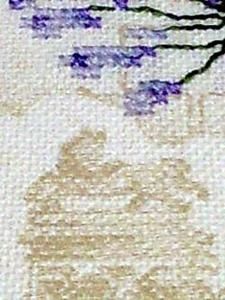 Photo131.jpg