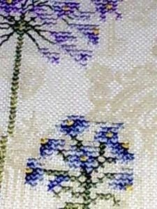 Photo133.jpg