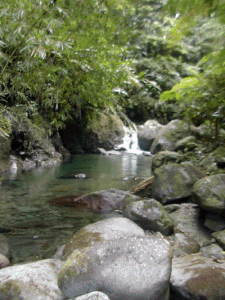 GRAND-RIVIERE3.gif