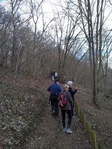 150320101255.jpg