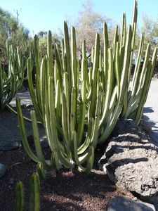 P1130383