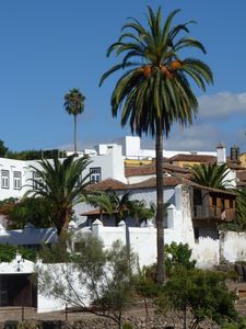P1130406