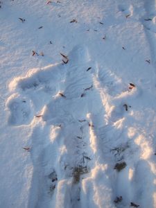 2009-Neige-Reims 029