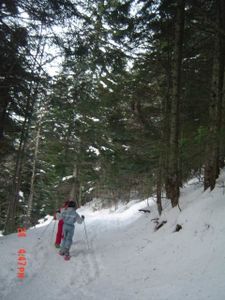 DSC00269.JPG