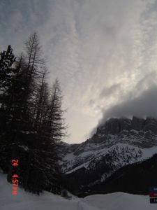 DSC00271-copie-1.JPG