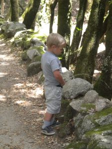 Cucuruzzu (13)
