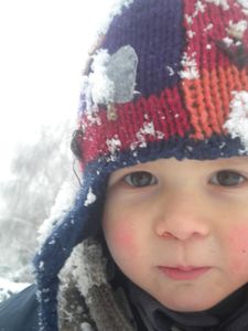 Sous la neige (20)