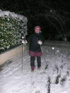 8-janvier-2010-chemin-du-ruisseai-002.jpg