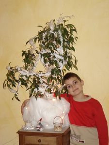 sapin de noël 009
