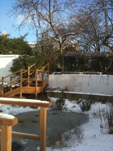 Photo 017