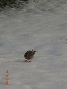 DSCN2062.JPG