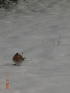 DSCN2063.JPG