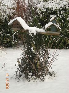 DSCN2071.JPG