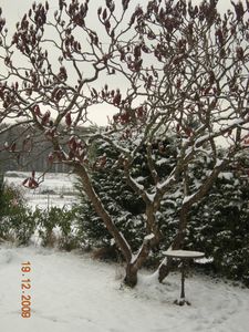 DSCN2075.JPG