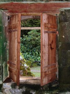 10-MARTINIQUE-CLARINETTE-023.jpg