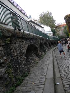 DSCN1134 1049