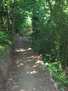 sentier-site-Ponts-Neufs-007.jpg