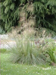 DSCF BG2814