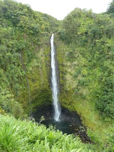 Hawaii-11-16 septembre 2011-Akaka falls