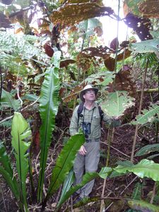 Tahiti-Symposium Paleo-Neo Ecology -mont Marau-03 dec 2011-