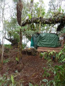 Tahiti-Marau-Taravao-4-5 sept 2012-cabane