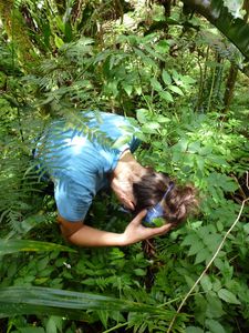 Tahiti-Fare Mato-13 dec 2013-attaque Rubus sur Méryl