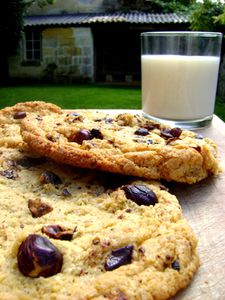 Cookies à la Noisette et au Chocolat 2