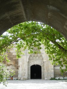 IMGP0877.JPG
