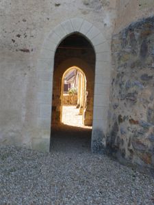 IMGP1174.jpg